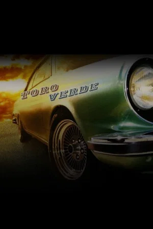Постер: Historias breves V: Toro verde