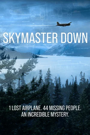 Постер: Skymaster Down