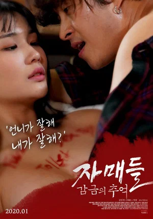 Постер: Sisters: Memories of Confinement