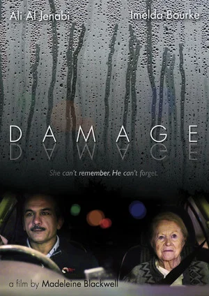 Постер: Damage