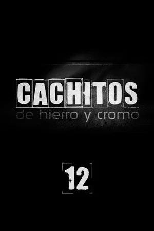 Постер: 12 сезон