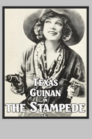 Постер: The Stampede