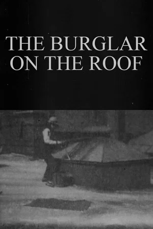 Постер: The Burglar on the Roof