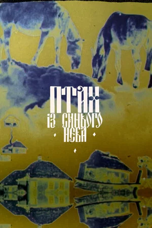 Постер: A Bird from the Blue Sky