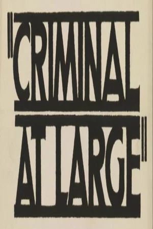 Постер: A Criminal at Large