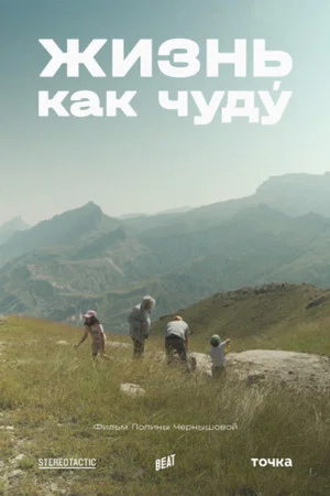 Постер: Жизнь как чуду