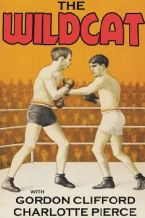 Постер: The Wildcat