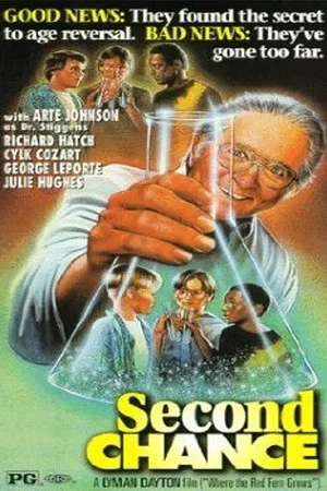 Постер: Second Chance