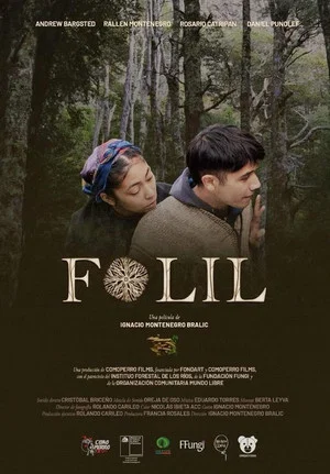Постер: Folil