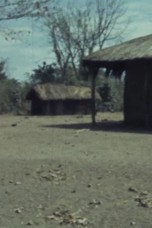 Постер: O escultor maconde Nangonga 1958
