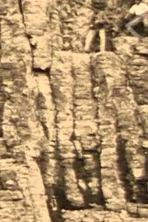 Постер: Het Bedrijf der Nederlandsche Basalt Maatschappij 'Zaandam' in Duitschland en Holland