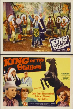 Постер: King of the Stallions