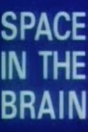 Постер: Space in the Brain