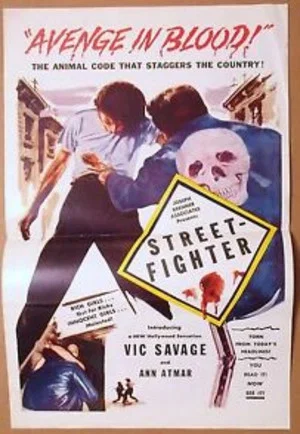 Постер: Street Fighter