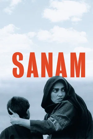 Постер: Sanam