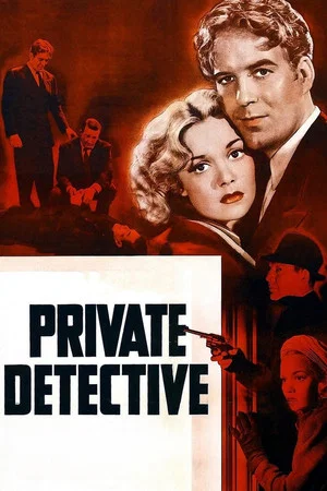 Постер: Private Detective