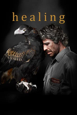 Постер: Healing