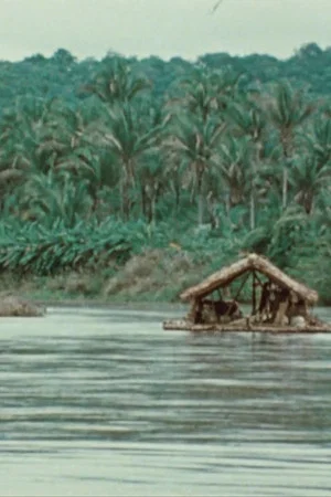 Постер: The Raft