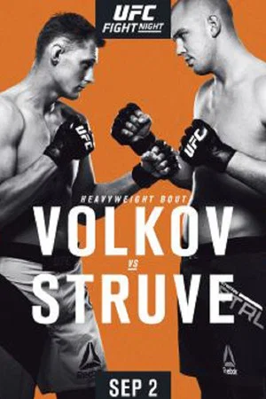 Постер: UFC Fight Night 115: Volkov vs. Struve