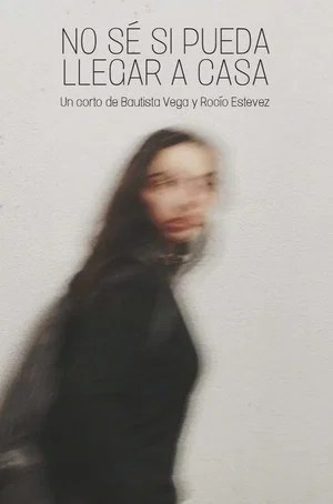 Постер: I don't know if I'll get home