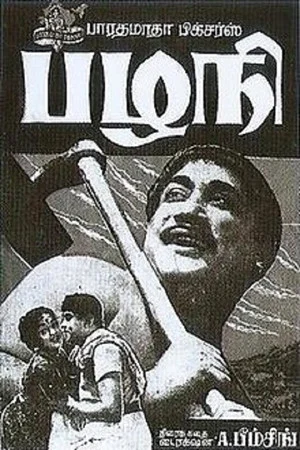 Постер: Pazhani