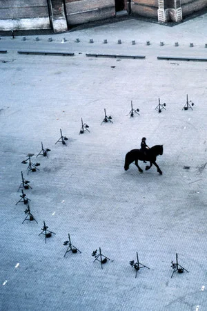 Постер: Equestrian