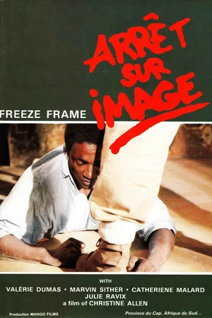Постер: Arrêt sur image
