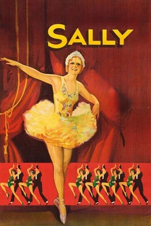 Постер: Sally
