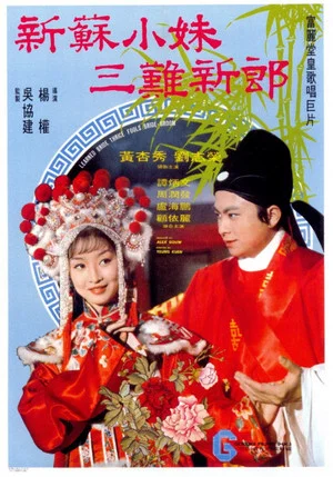 Постер: Learned Bride Thrice Fools the Bridegroom