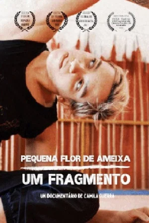 Постер: Pequena flor de ameixa: um fragmento