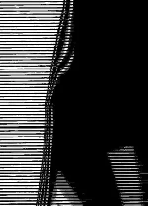 Постер: distorted areas~