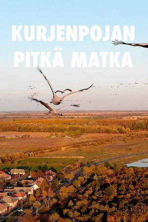 Постер: A Young Crane's Long Journey