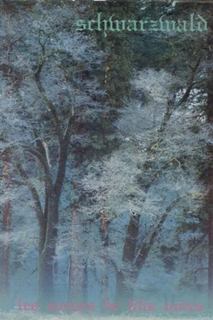 Постер: Schwarzwald