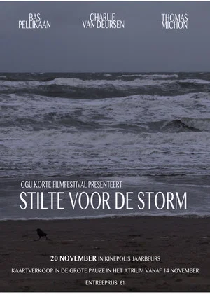 Постер: Stilte voor de Storm