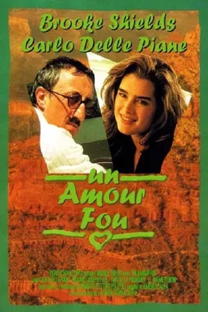 Постер: Un amore americano
