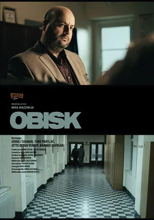 Постер: The Visit