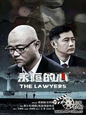 Постер: The Lawyers