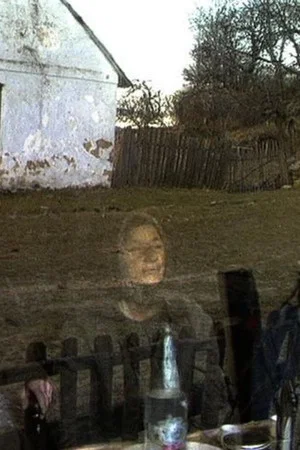 Постер: Линденфельд 1994