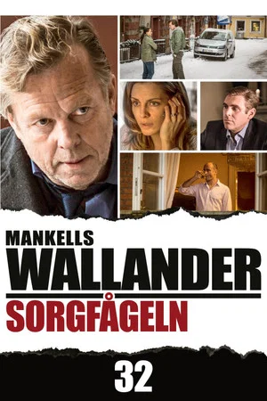 Постер: Wallander: The Sad Bird
