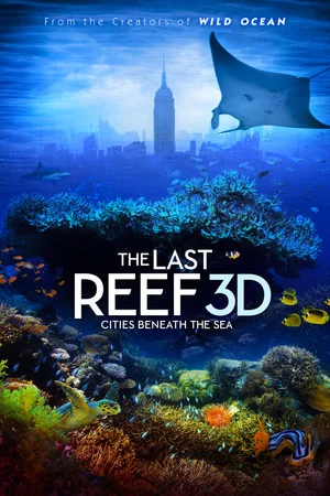 Постер: Последний риф 3D
