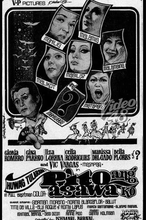 Постер: Bad Example: I Have Seven Wives