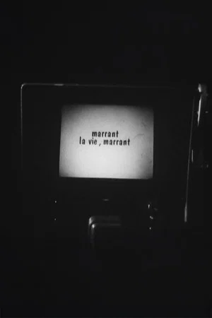 Постер: Marrant la vie, Marrant !