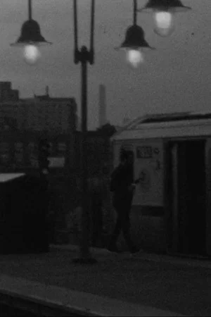 Постер: The Way Home