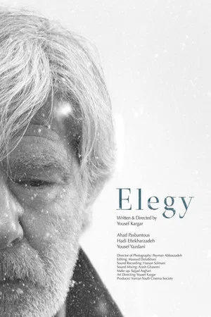 Постер: Elegy