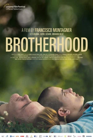 Постер: Brotherhood