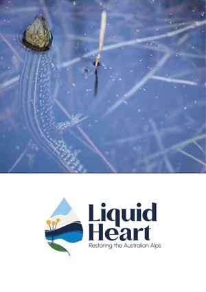 Постер: Liquid Heart: Restoring the Australian Alps