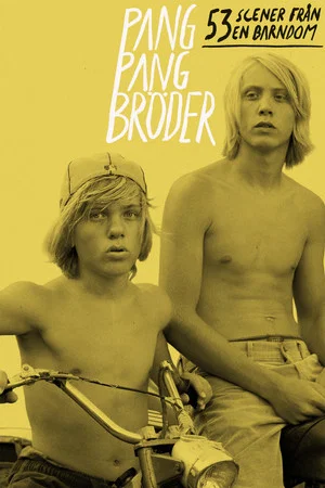 Постер: Twin Brothers: 53 Scenes in Chronological Order