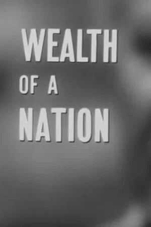 Постер: Wealth of a Nation