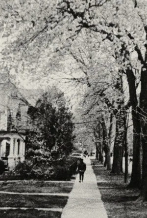 Постер: Delight at Robert St.