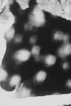 Постер: A Constellation of 6 Super 8 Films (1991 – 2010)